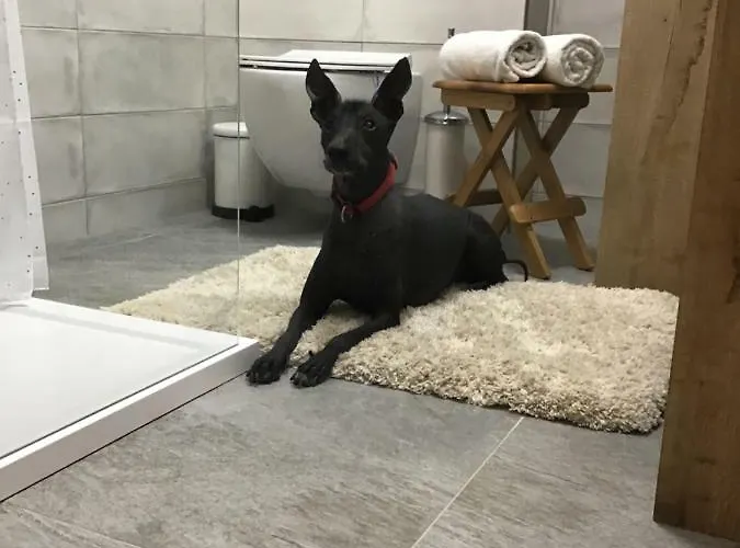 Lägenhetshotell Sebastian 4*